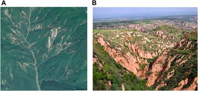 Numerical Simulation of Slope–Gully–Stream Sediment Transport Process with Water and Gravity Erosion